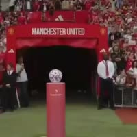 VID20250809215335234.mp4