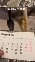 1756922582056.mp4