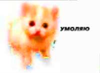 1739673557155.png