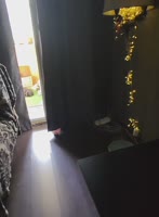 video2026-07-0316-35-44.mp4