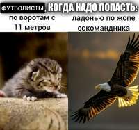 1783087714426.jpg