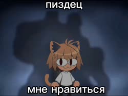 12.mp4
