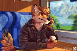 coy1745654518.iliotropiogxaychtraintravelcalineweb.png