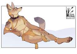coy1745607450.p-sebaeharemcoyotefa.png