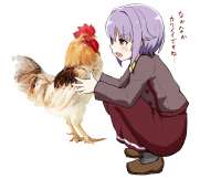 14695295633750.png