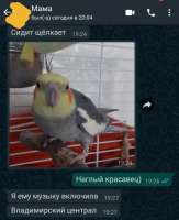 1490702007370.jpg