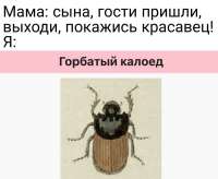 1601954799425.jpg