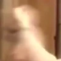 1623159643161.mp4
