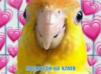 1624898356647.png