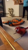 1624973369074.mp4
