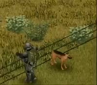 16984728328590.mp4