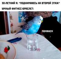 17469850796932.jpg
