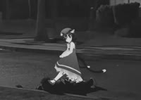 16226205463043.webm