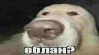 1683541006181.webp