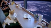 16861681490470.webm