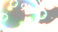 701259851.webm