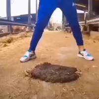поздно... насраня надел шляпу.webm