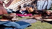 VID20250615171416.mp4
