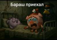 9a5e6bfe-9eaf-57a5-b242-bc66ff08957a.jpg