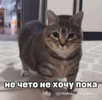 17483581437210.gif