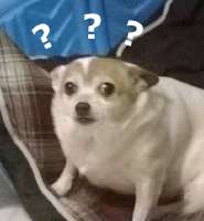 1750796988648.jpg