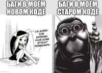 баги.jpg