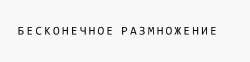 17498456727040.gif