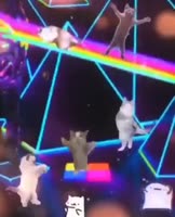 17457299692460.mp4