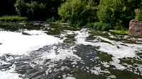 VID20250621164339.mp4