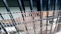 VID20250622202947.mp4