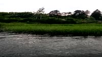 VID20250628190516.mp4
