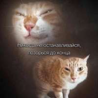 17552044250560.png