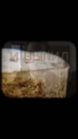 17455778113671.mp4