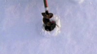 S.P.O.R.T. - Рыбалка [7rLKK-TENrU].webm