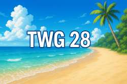 twg 28.png