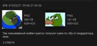 1752411044455.jpg