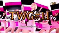 твг11.webm