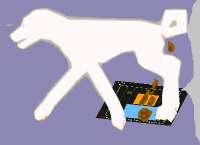 1717974206703.png