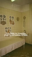 1115.mp4