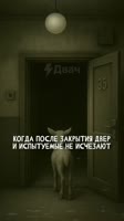 54.mp4