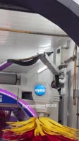 pigeon car wash.mp4