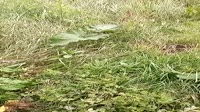 VID20250722112251.mp4