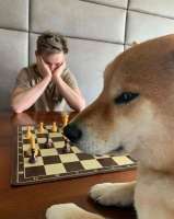 6363881.jpeg