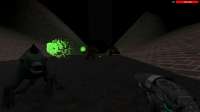 IMG8405.jpeg
