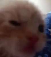 1754909184577.jpg