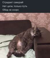 литералли ми.jpg