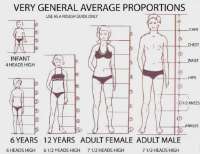 Human+proportions.webp
