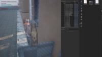 Subshota02.mp4
