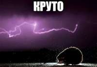 cmW9oYtmmeJxhPKZoynMdVAK-KspaX-mD7-ojFi-TzPpYd9ODx119jkQwUwy5WGib0bCIttRy5Zic2f2GgmJJ59C.jpg