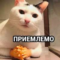 17309164947970.jpg